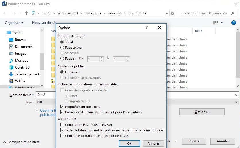 Capture écran qui démontre le bouton « Options » activé lors du processus d'exportation de PDF dans Word.